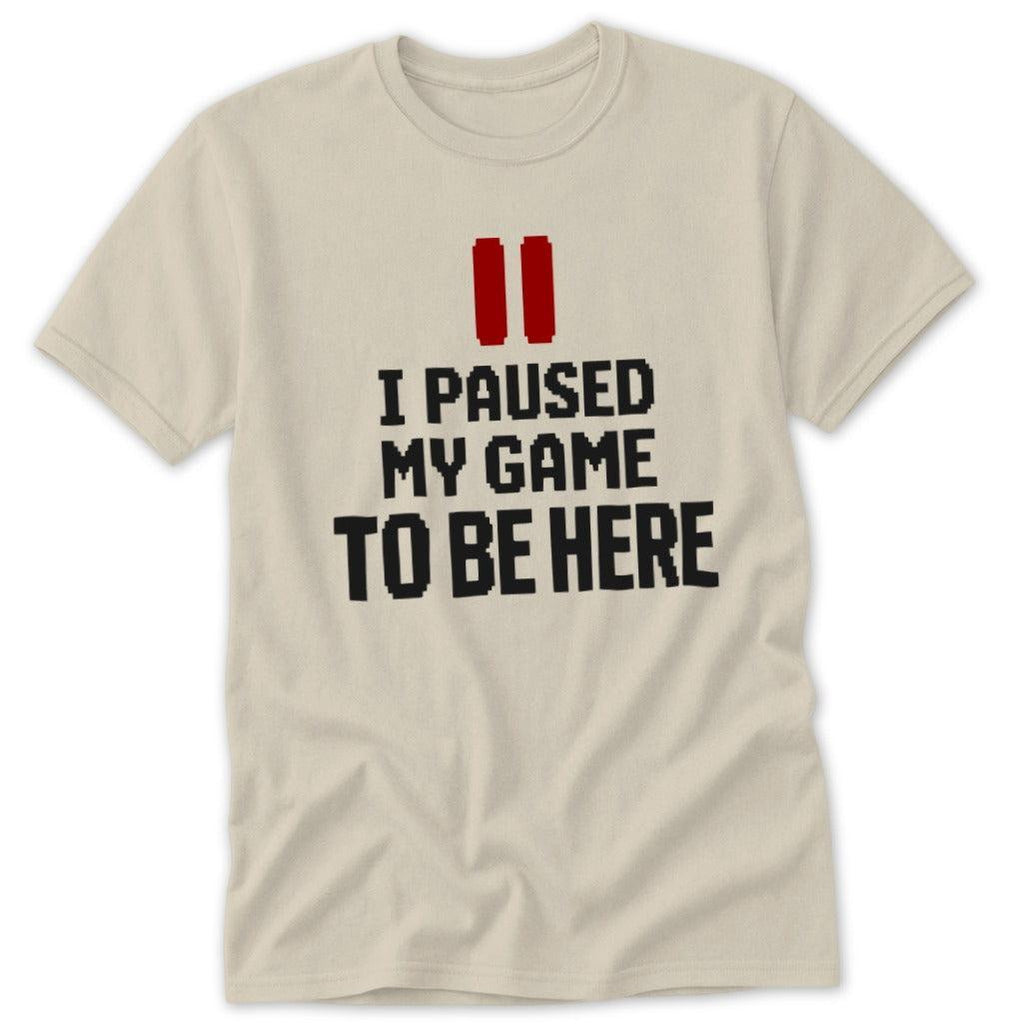 Paused My Game Classic Tee