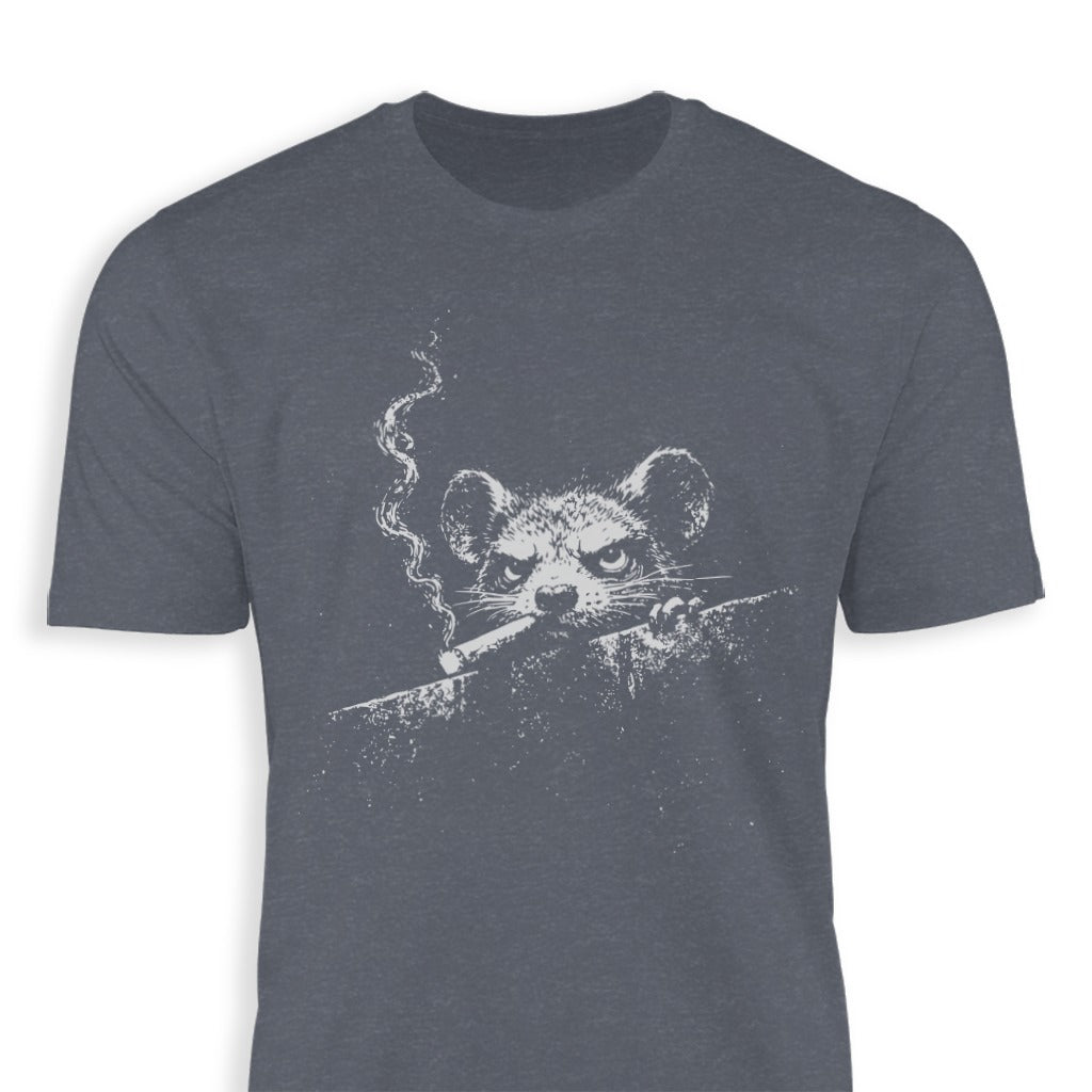 Smoking - Rat