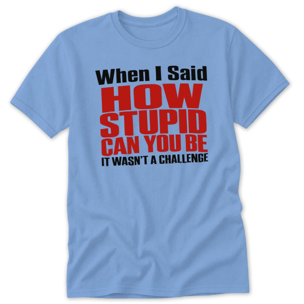 When I Said How Stupid Can You Be Classic Tee - Carolina Blue