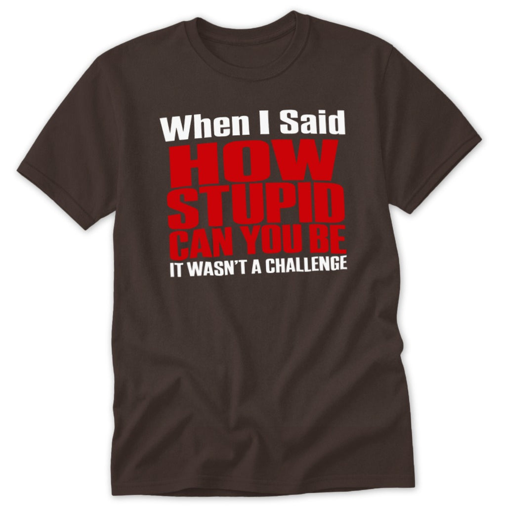 When I Said How Stupid Can You Be Classic Tee - Dark Chocolate