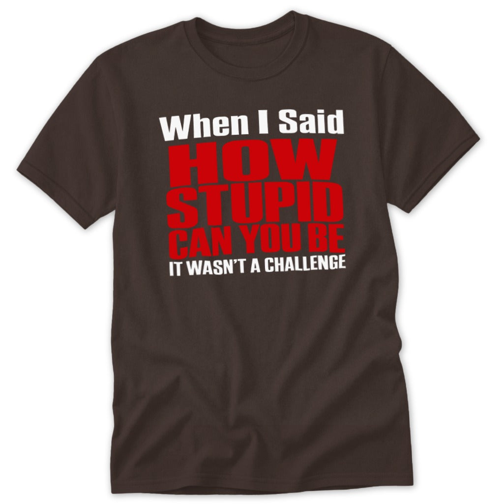 When I Said How Stupid Can You Be Classic Tee - Dark Chocolate