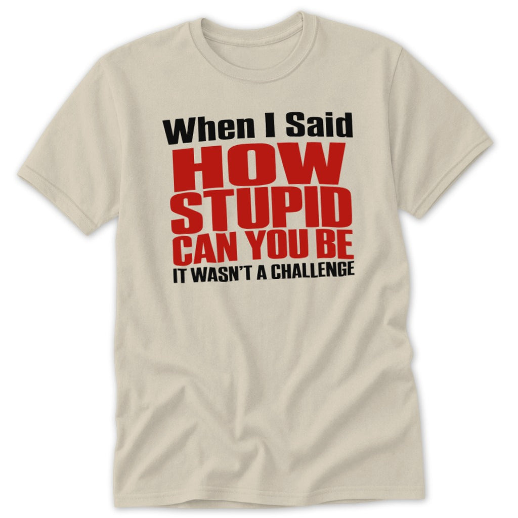 When I Said How Stupid Can You Be Classic Tee - Sand