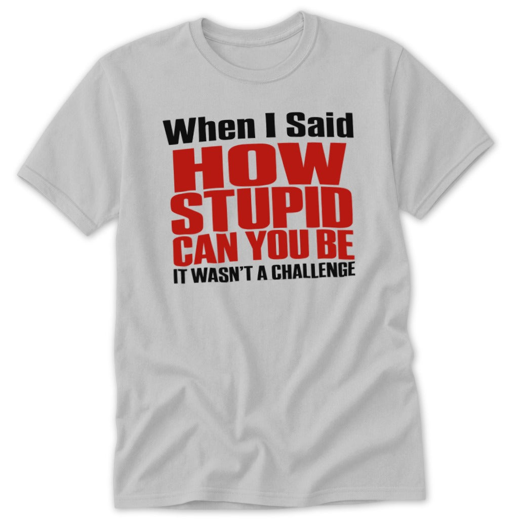 When I Said How Stupid Can You Be Classic Tee - Sport Grey