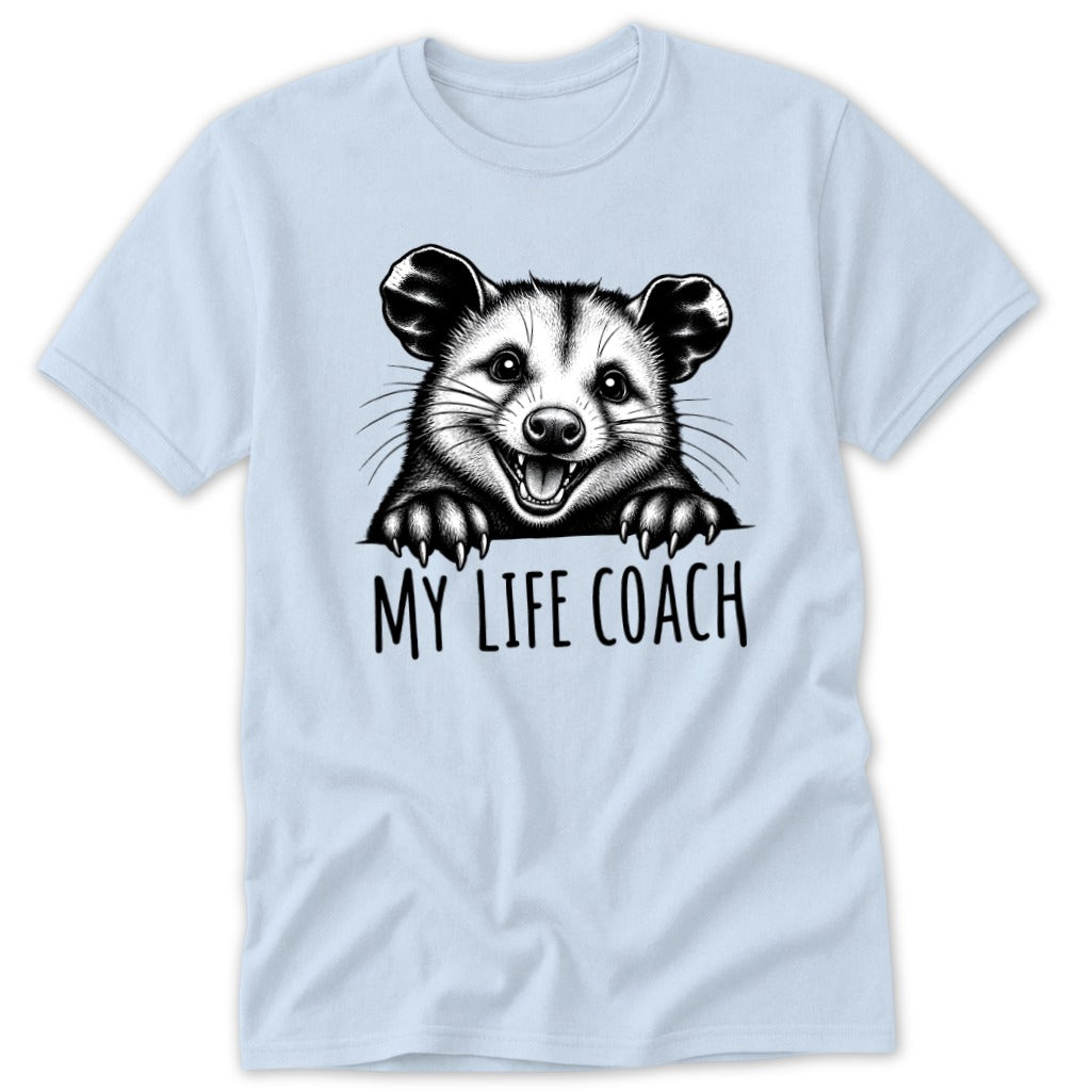 Light blue t-shirt with raccoon graphic and text "MY LIFE COACH".