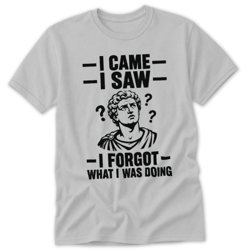 Light grey t-shirt with "I came, I saw, I forgot what I was doing" text.