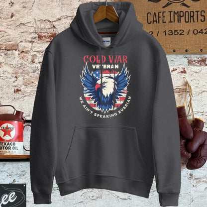 Hoodie / S / Dark Heather Cold War Veteran Shirt